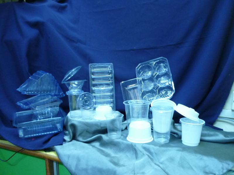 Disposable containers and trays